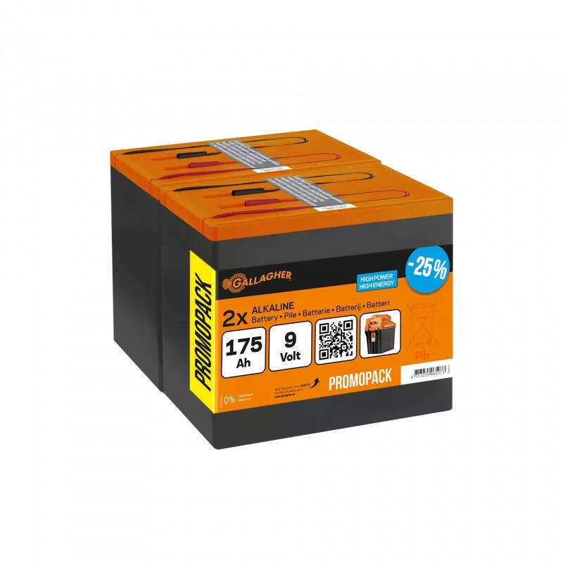 Bateria Gallagher (x2)