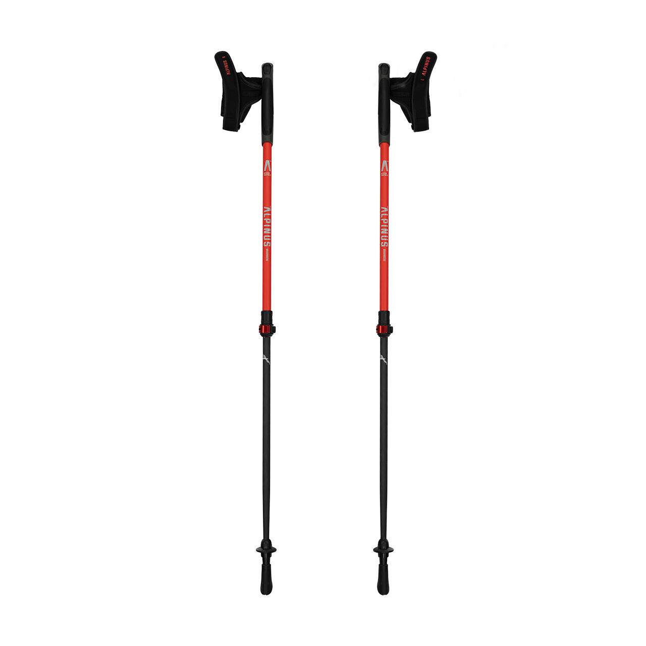 Kijki nordic walking Alpinus Braunberg