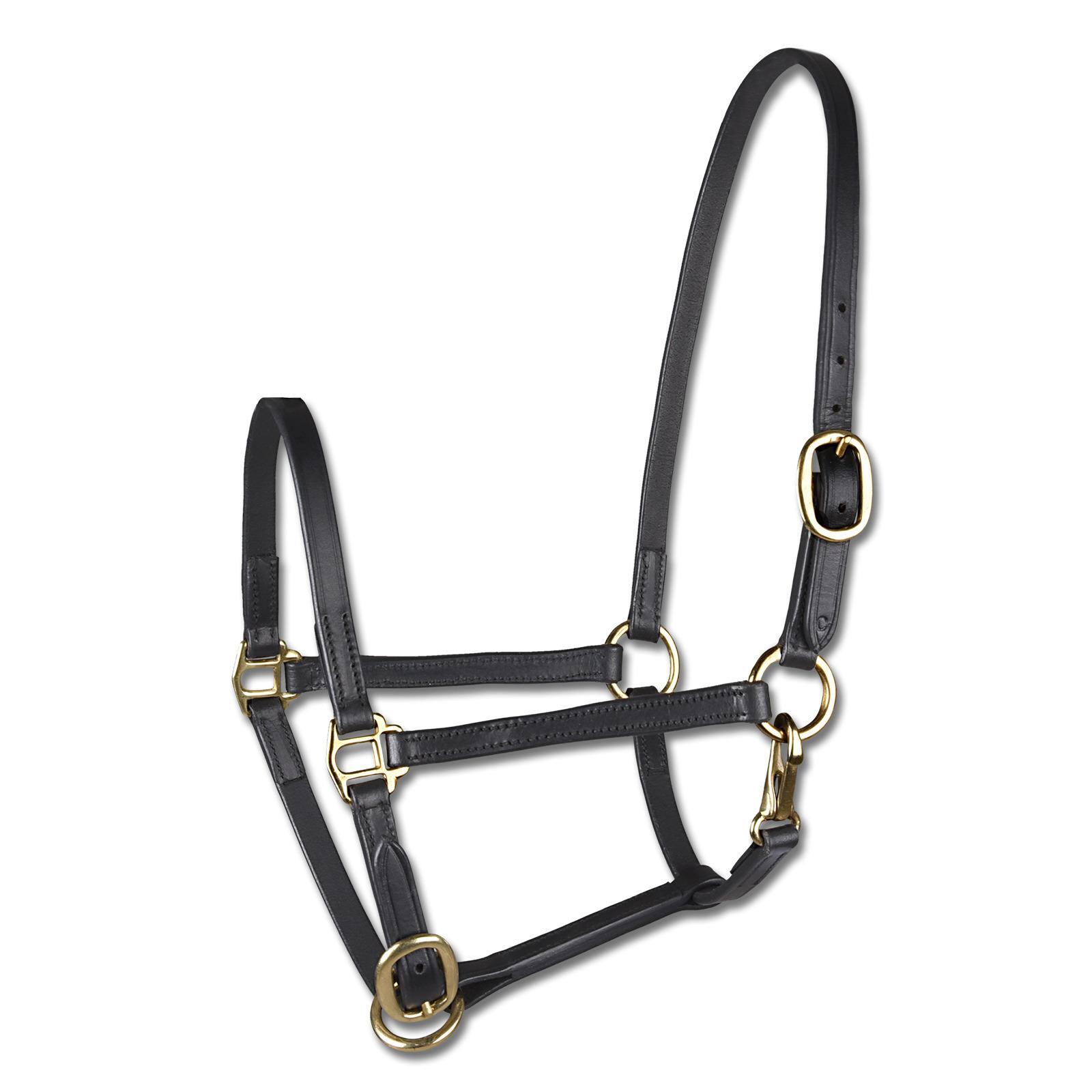 Skórzana halters do poniów Star