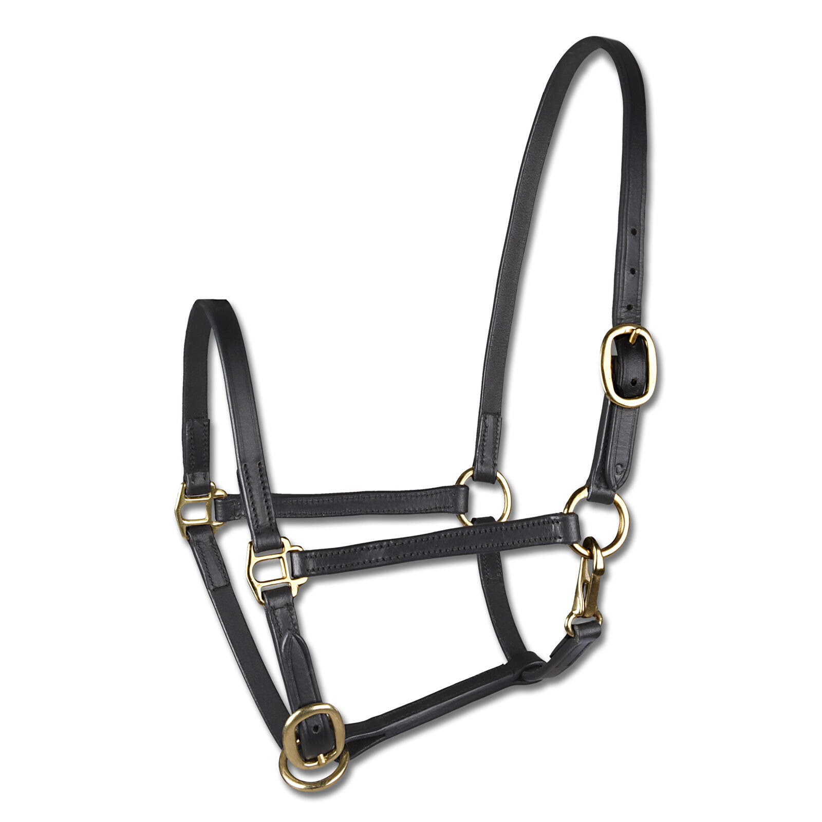 Skórzana halters do poniów Star