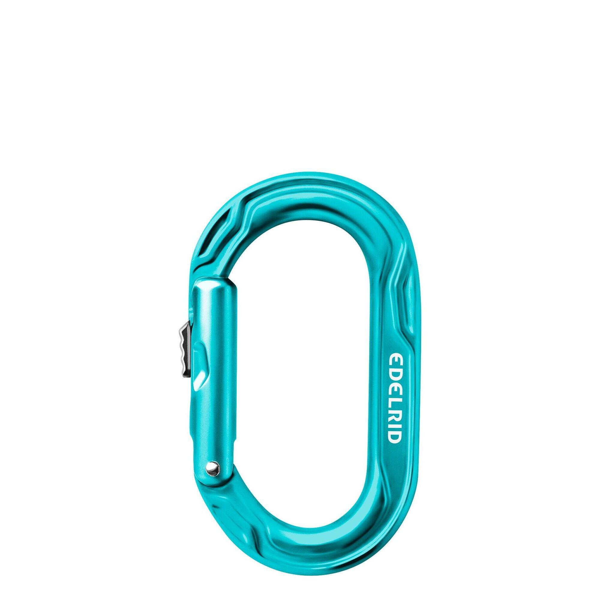 Karabinek wspinaczkowy Edelrid Kiwi Slider - icemint