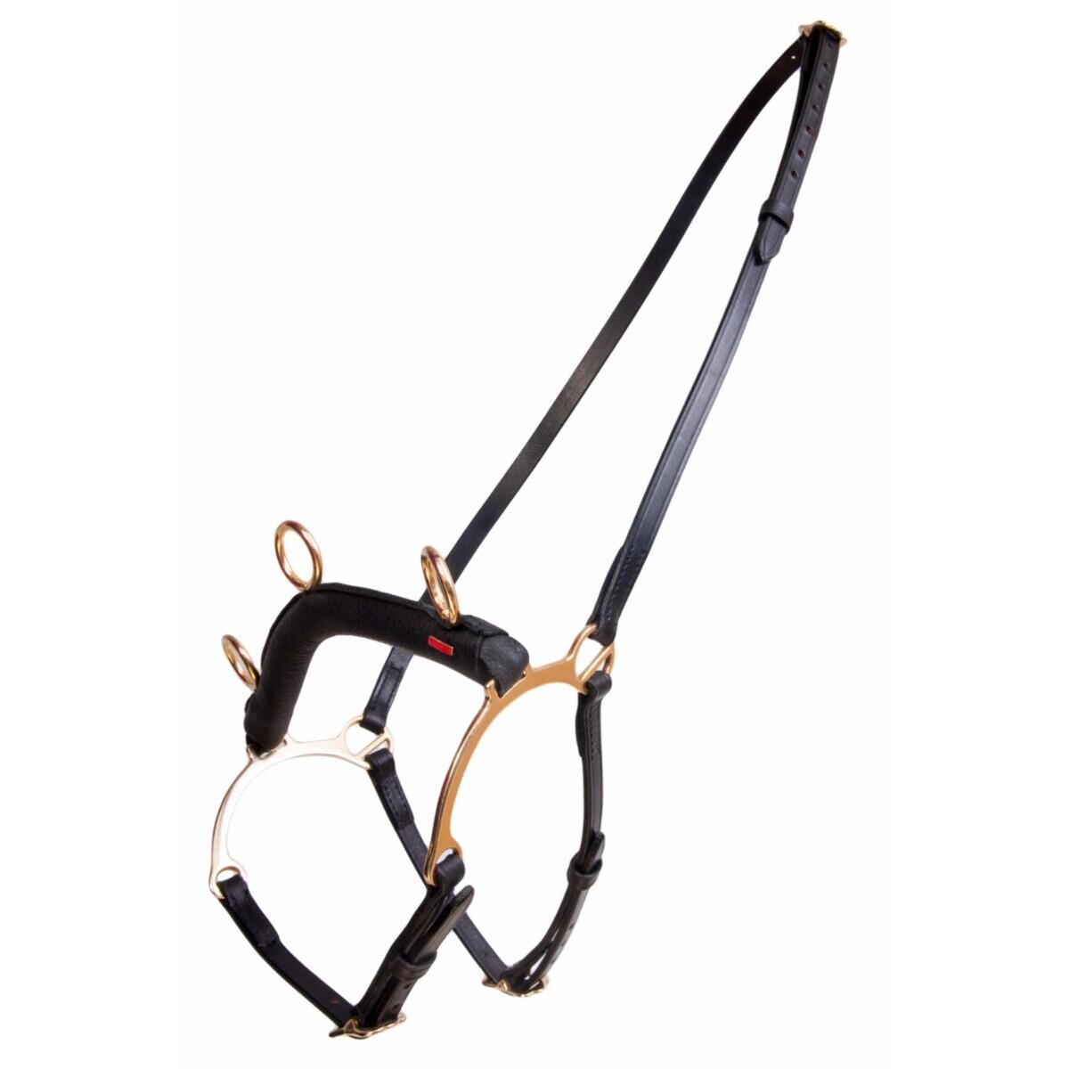 Boks dla koni z barem Karlslund