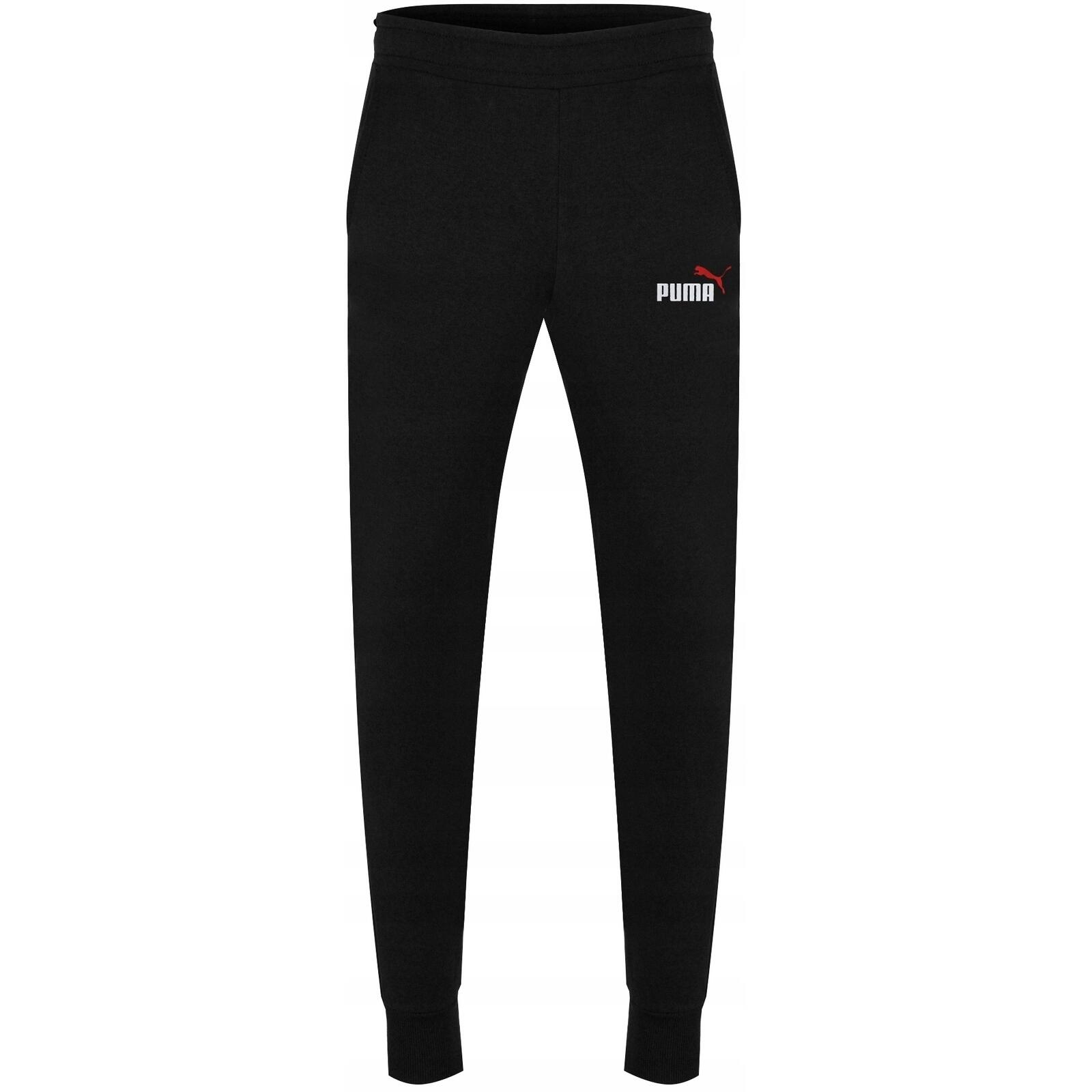 Spodnie męskie Puma ESS 2 Col Logo Pants TR cl