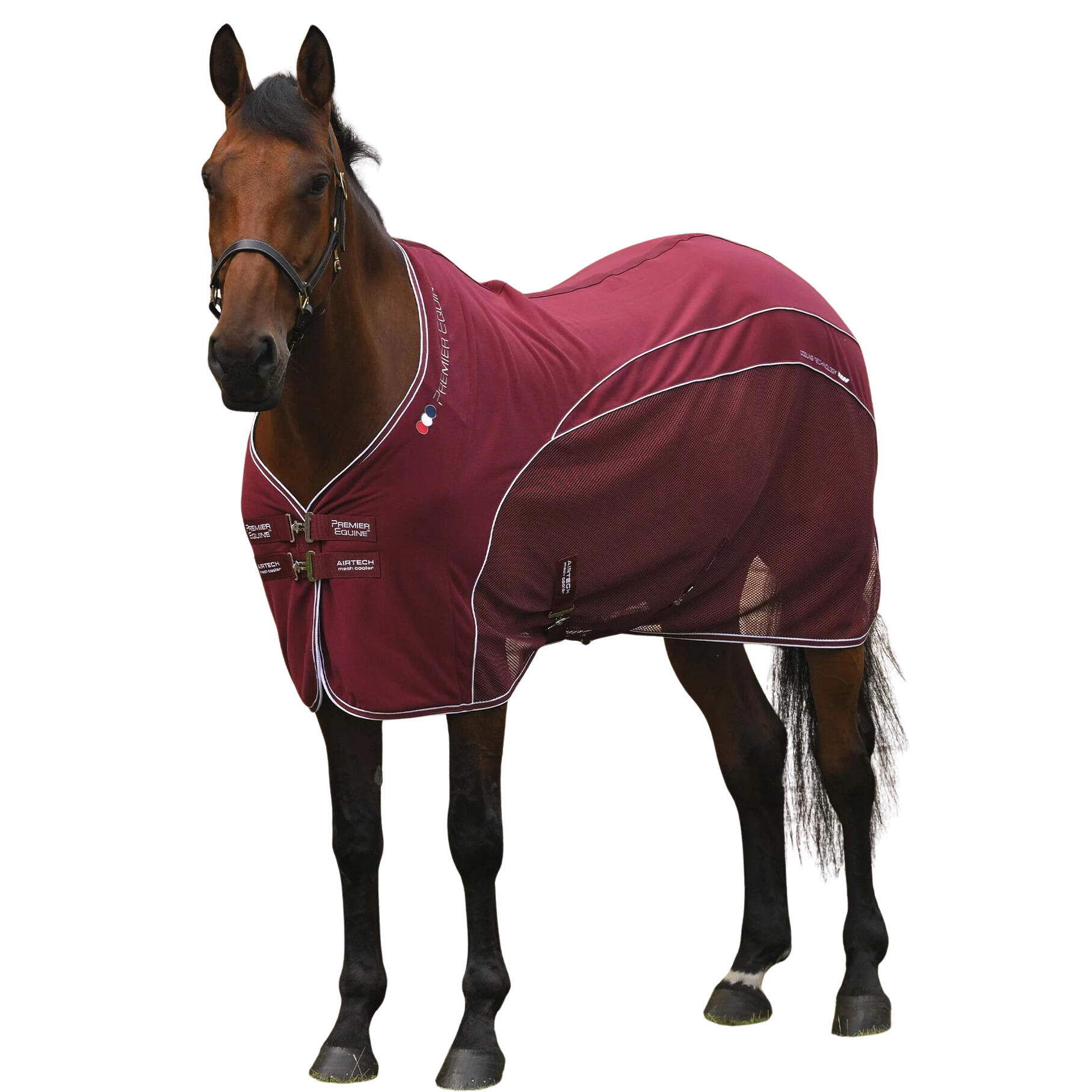 Derka osuszające dla koni Premier Equine Airtech Mesh