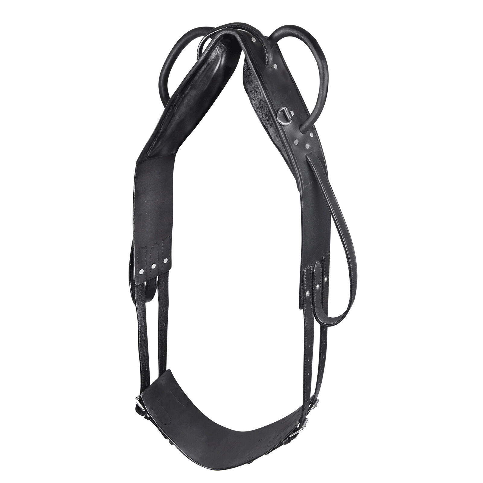 Surface do wierzchowca do voltige i lonżowania Star