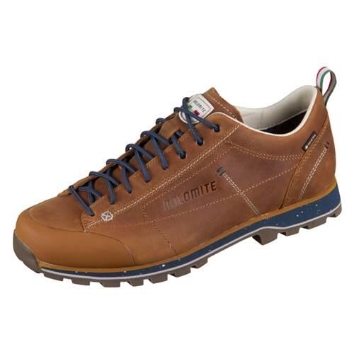 Buty do chodzenia męskie Dolomite 54 Low FG Evo Gtx