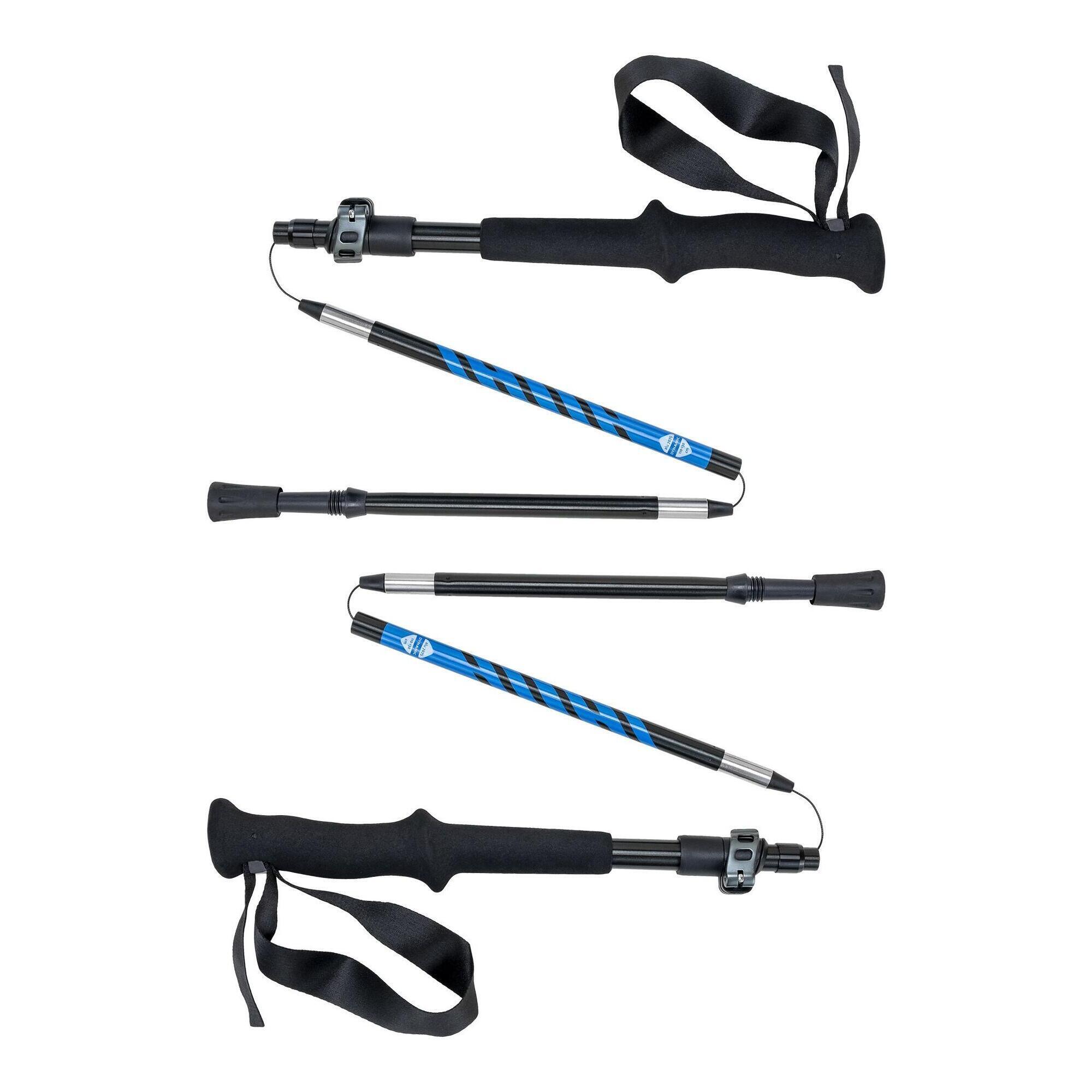 Kije trekkingowe Rockland Dynamic