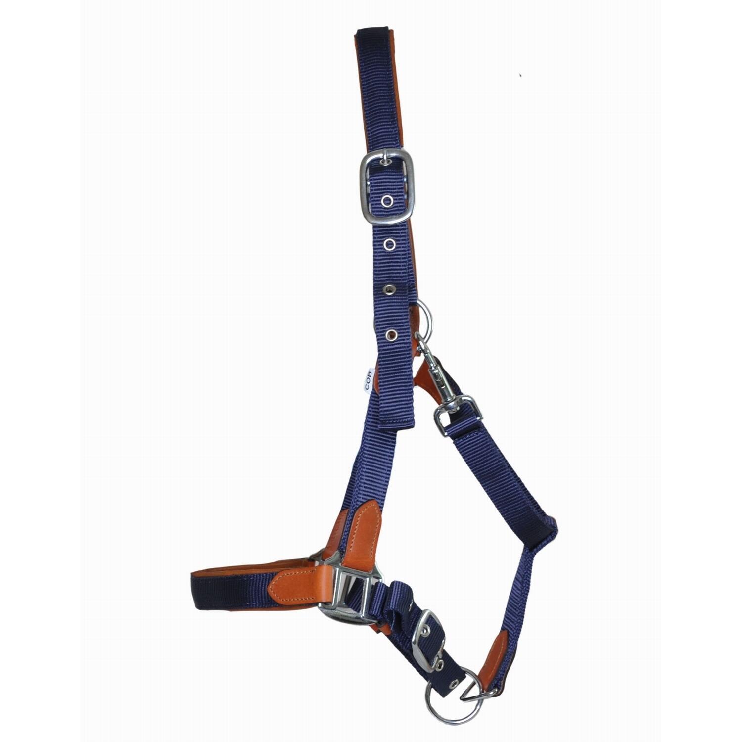 Nagłówek dla konia ze skóry i paska T de T