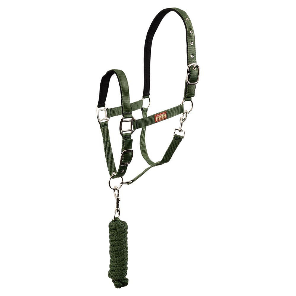 Zestaw kantar i smycz z karabińczykiem Premiere
