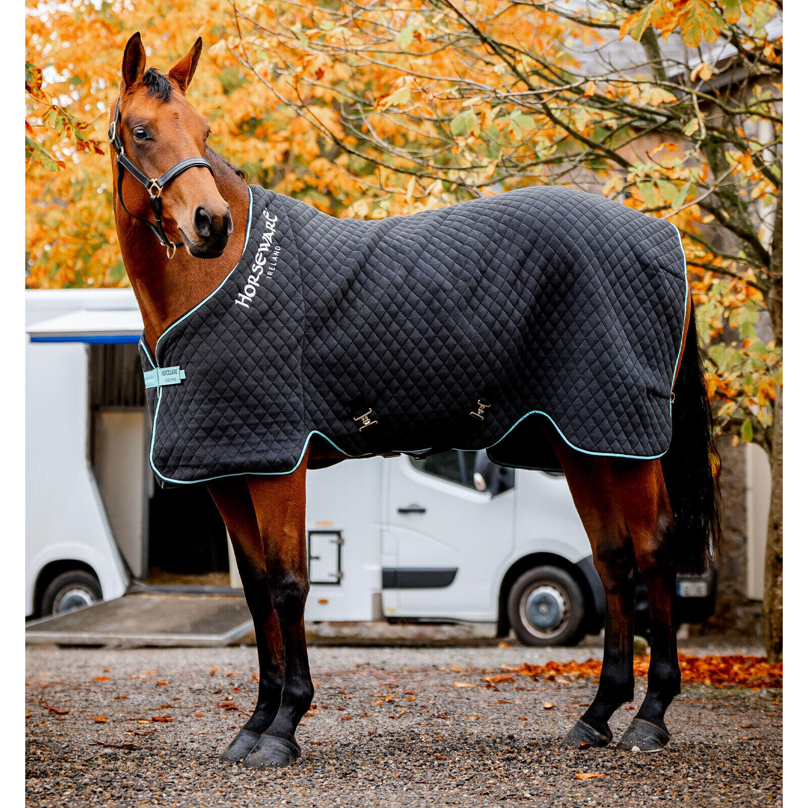 Derka do suszenia dla koni Horseware Autumn Cooler