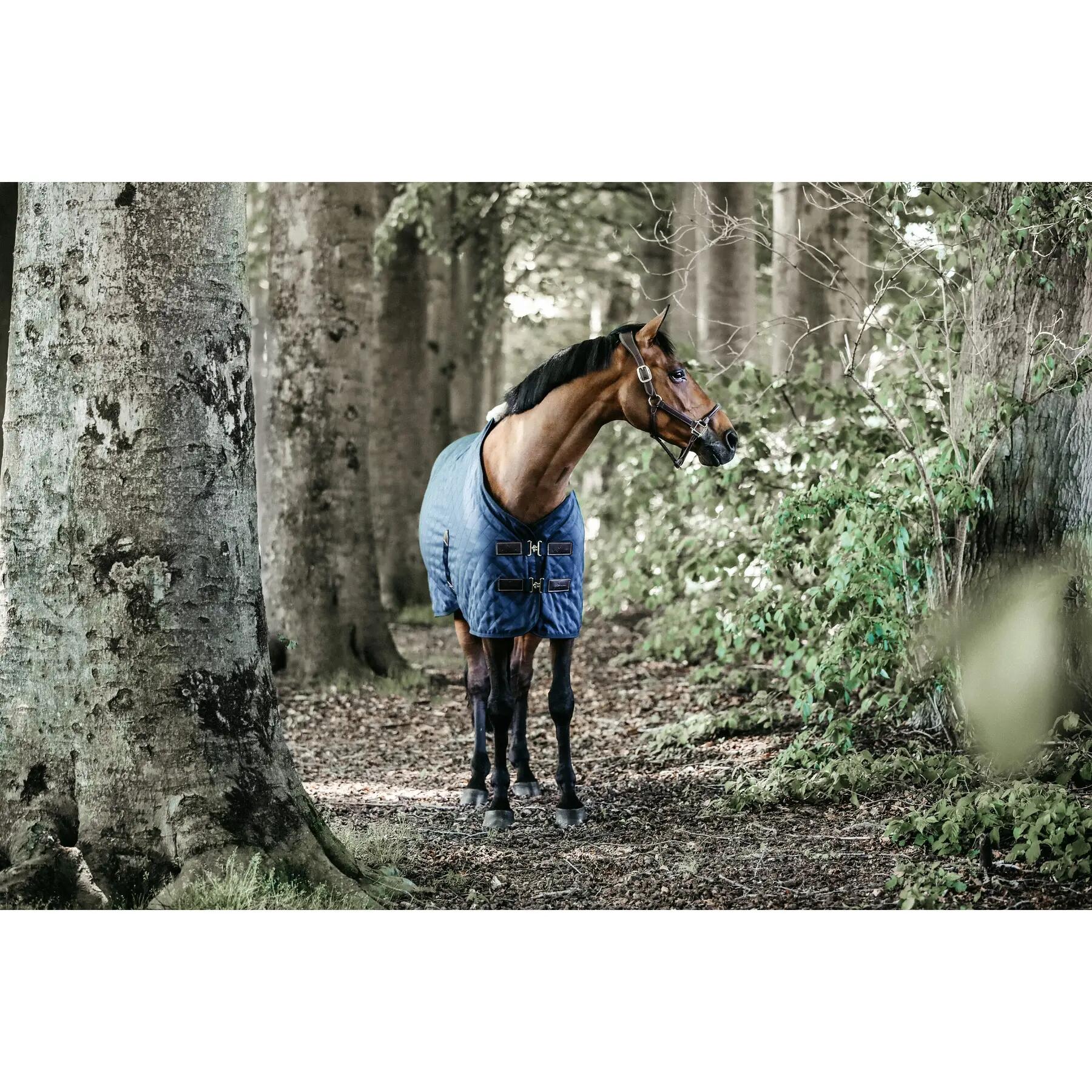 Derka stajenna Kentucky 0 g