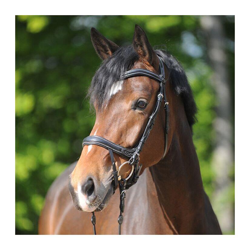 Uzda do jazdy konnej Kavalkade Ivy Plus