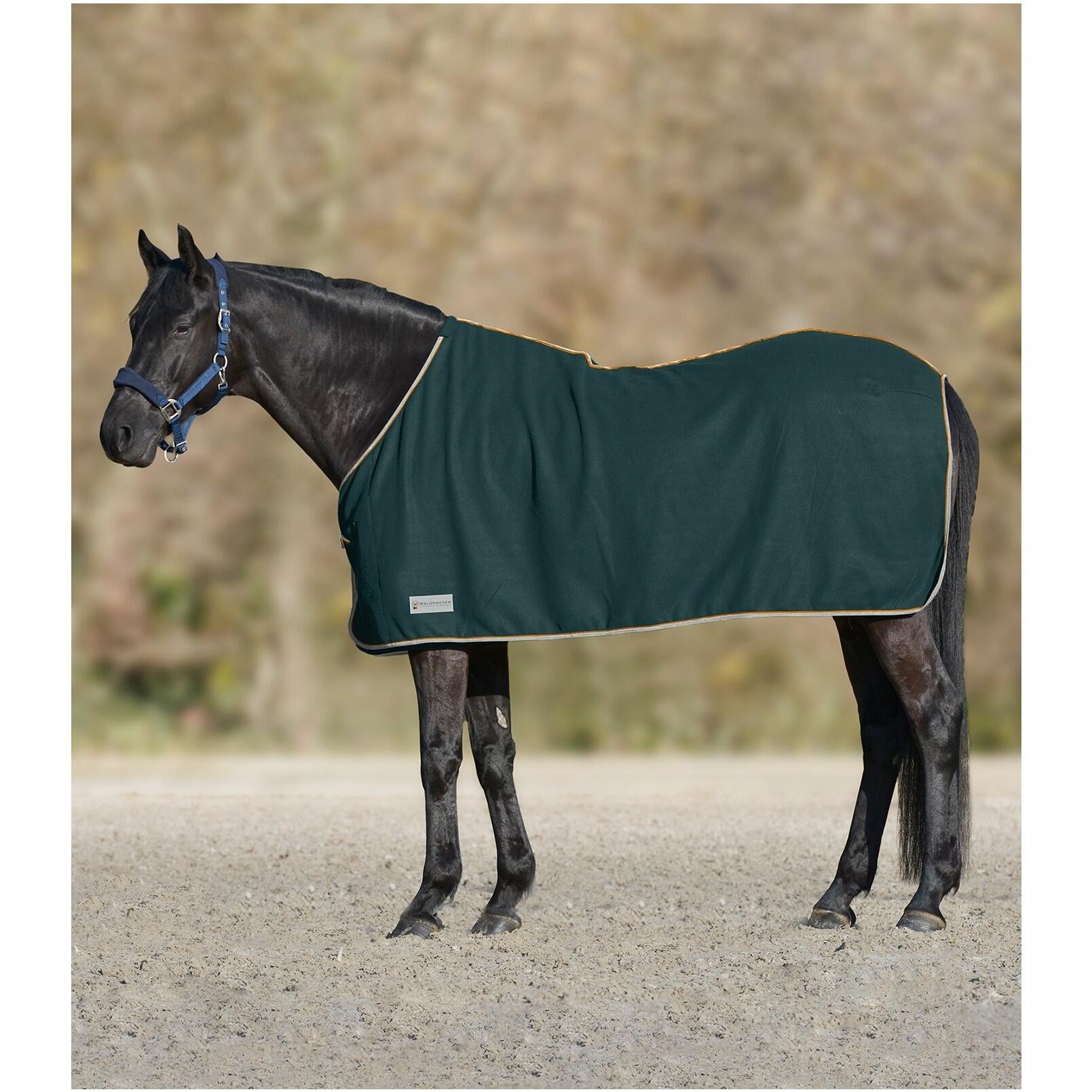 Polary końskie Waldhausen Economic