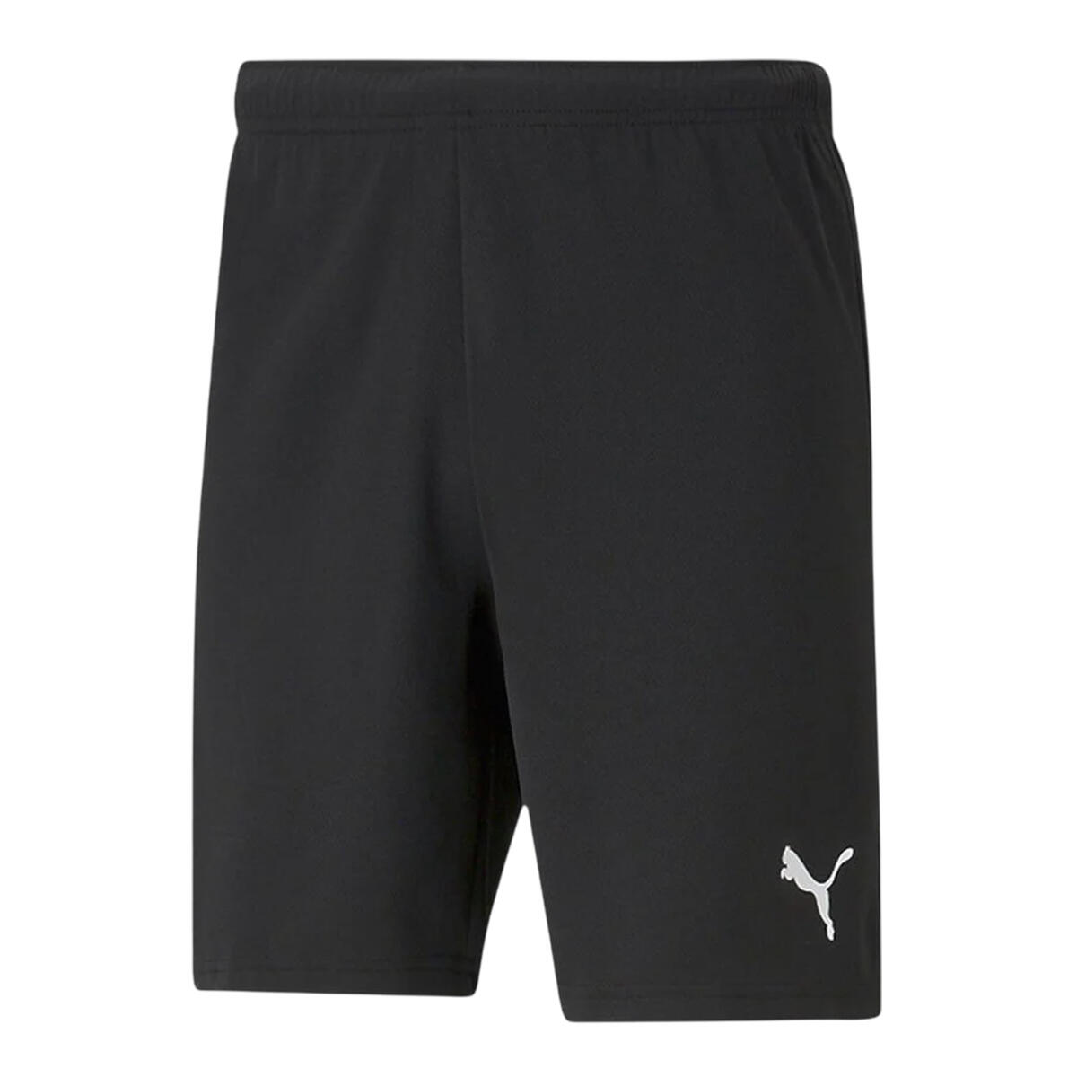 Męskie Spodenki TeamRISE