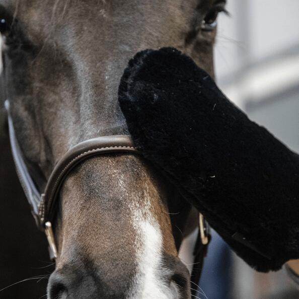 Kentucky Wollen Poetshandschoen Zwart -