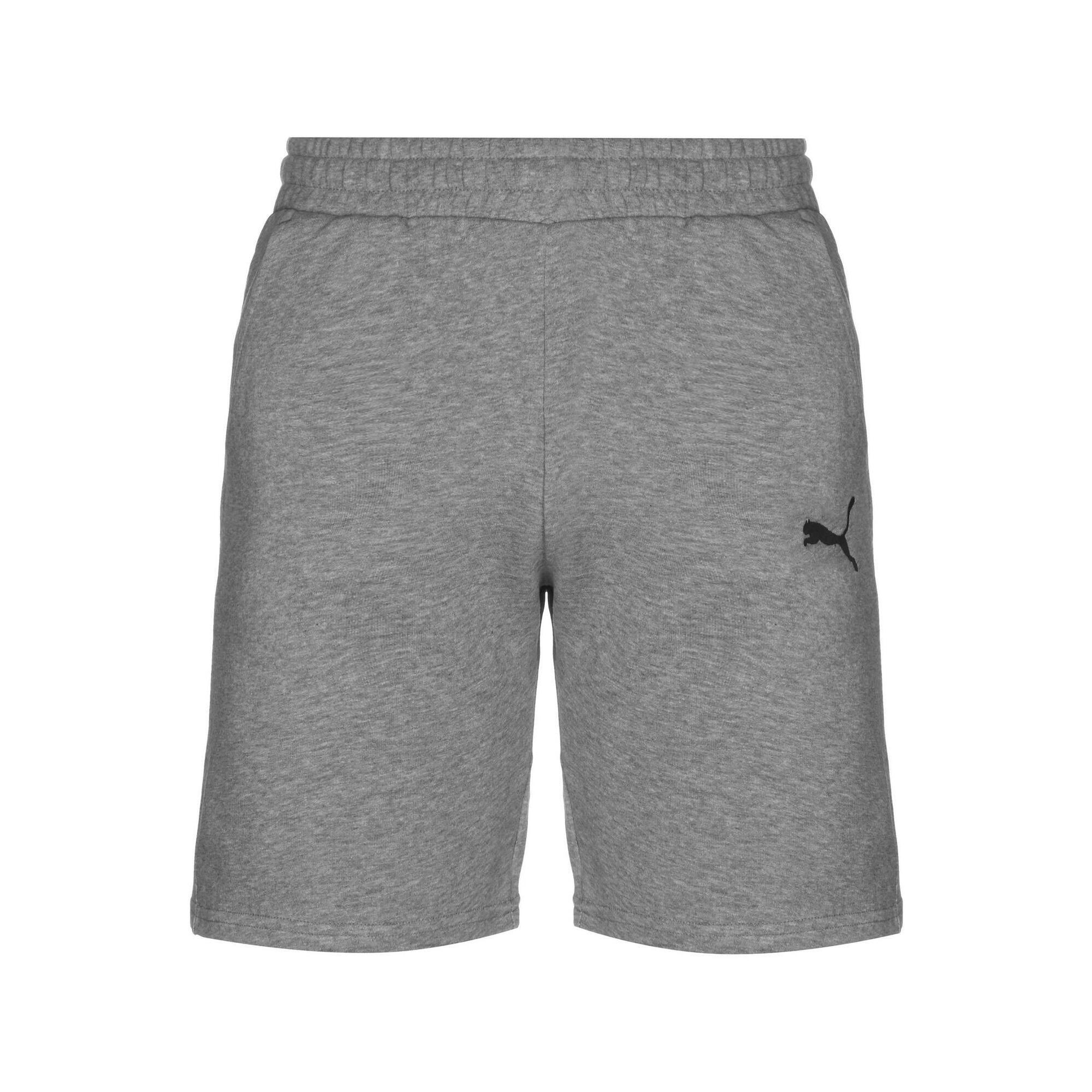 Spodenki męskie Puma TeamGOAL 23 Casuals Shorts szare