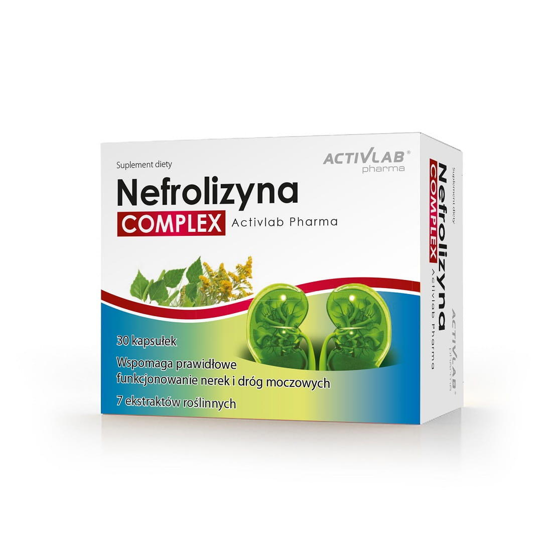 Funkcjonowanie nerek Nefrolizyna COMPLEX Activlab Pharma