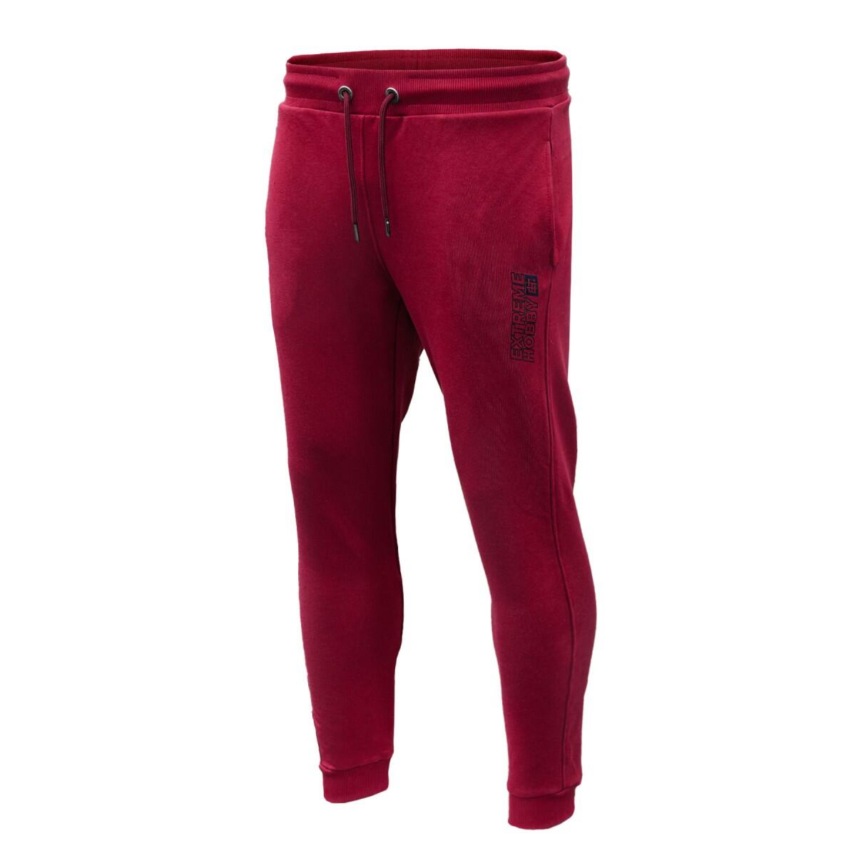 Spodnie dresowe joggery męskie EXTREME HOBBY BLOCK 2025