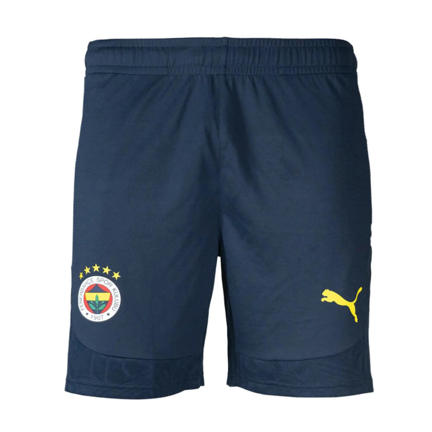 Spodenki treningowe Fenerbahçe 2024/25