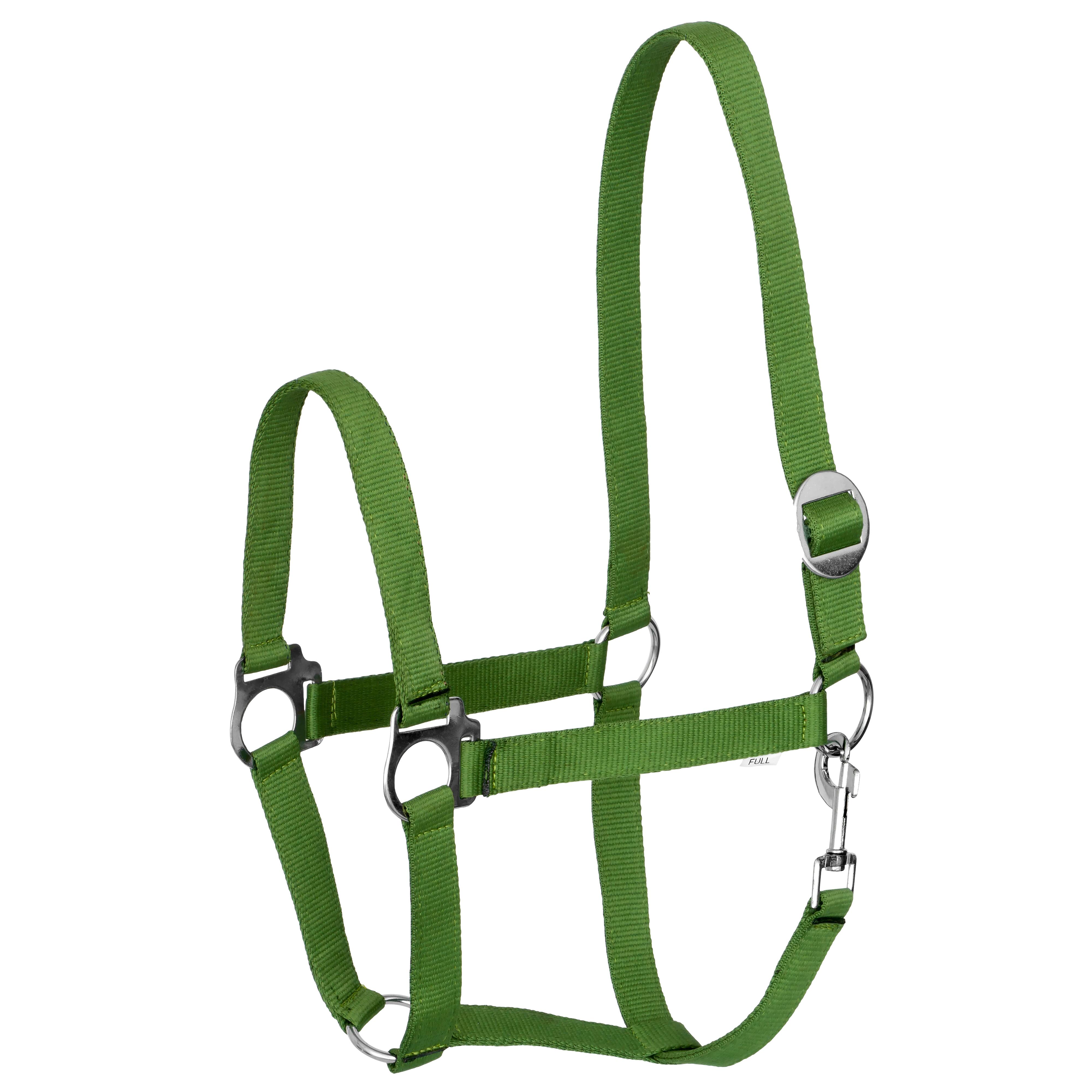 Kantar START Economic