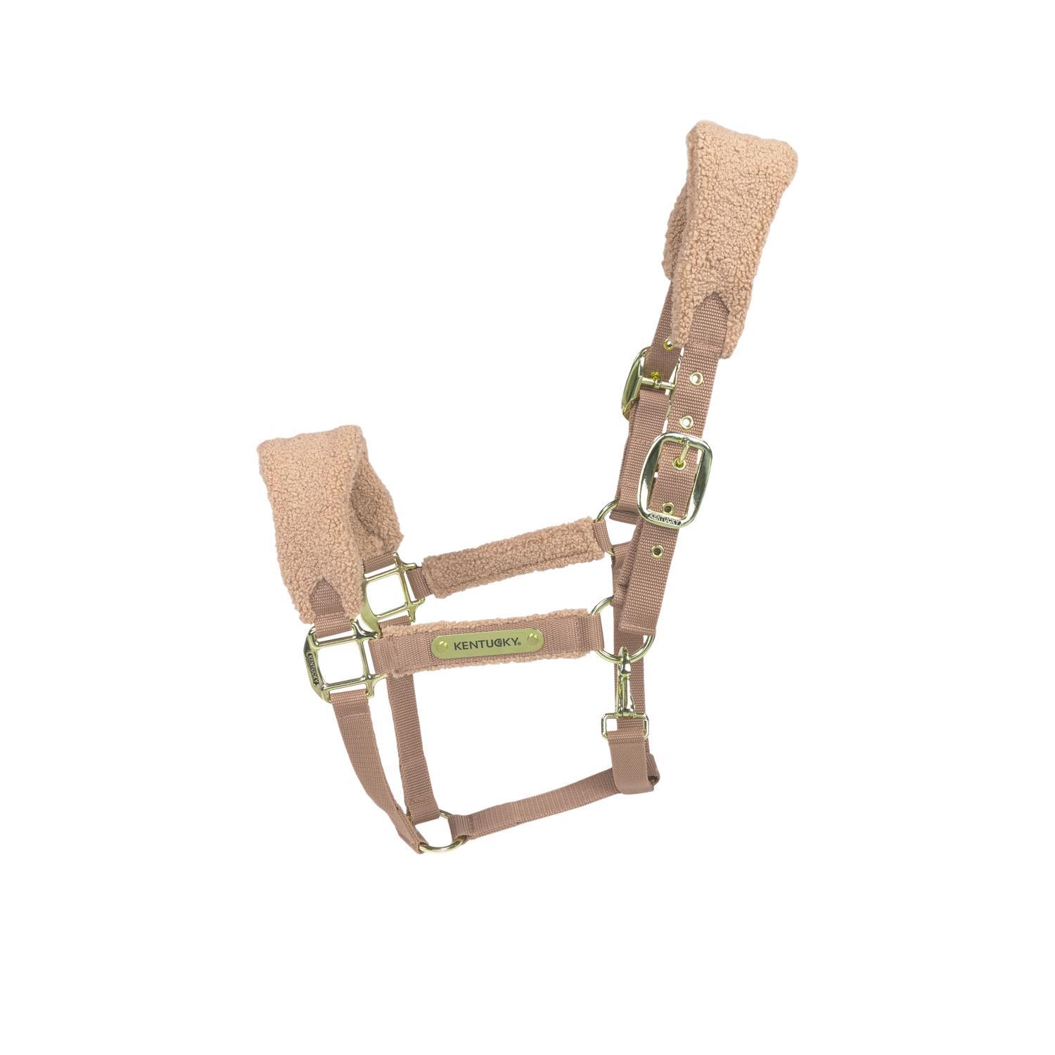 Kantar dla koni polarnych Kentucky Teddy