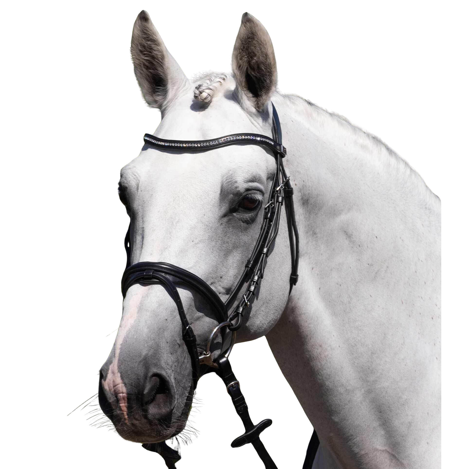 Siodło do jazdy konnej Premier Equine Rivere