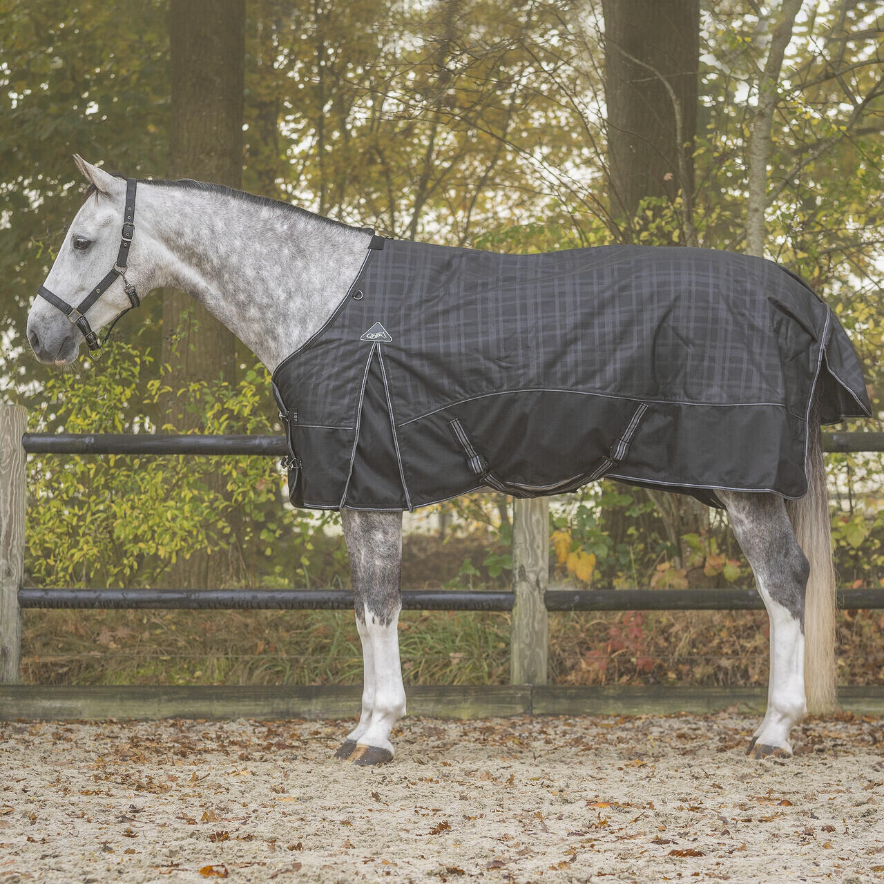 Zewnętrzna derka dla koni QHP Collection 300g