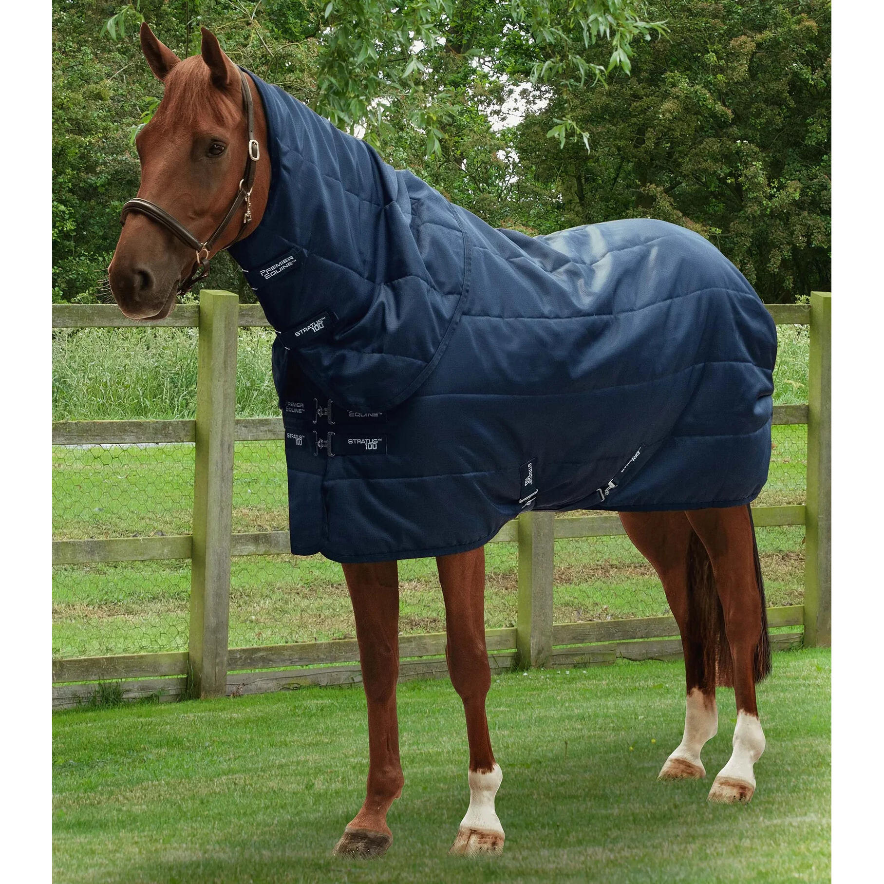 Derka stajenna z ochraniaczem na szyję Premier Equine Stratus 100g