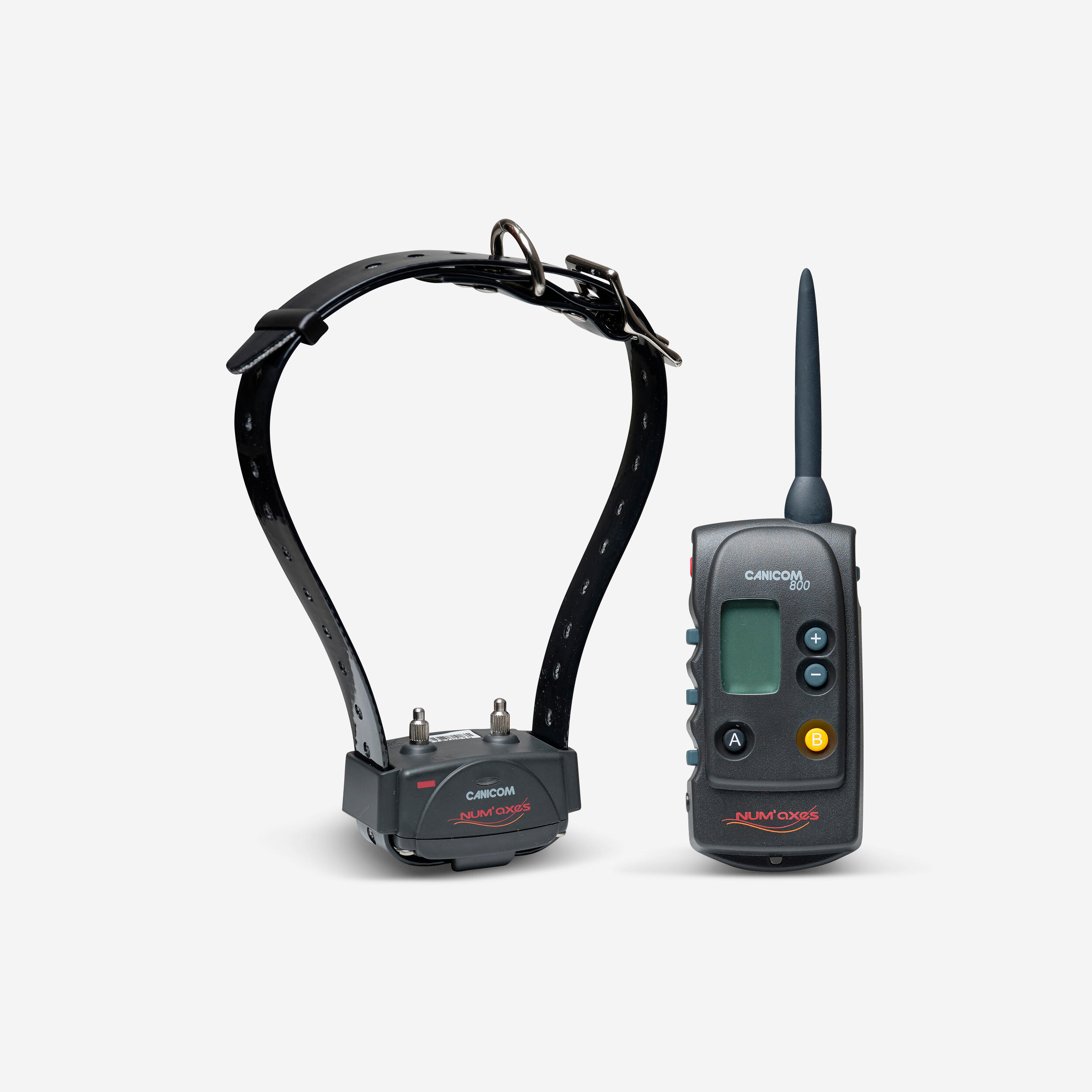 Zestaw obroża + pilot Num'axes Canicom 800 m