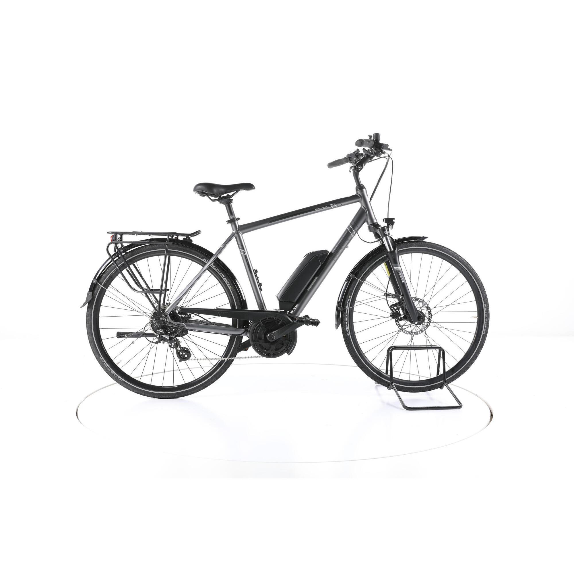 Second Life - Triumph E-Bird Ultra Trekking E-Bike - Bardzo dobry stan