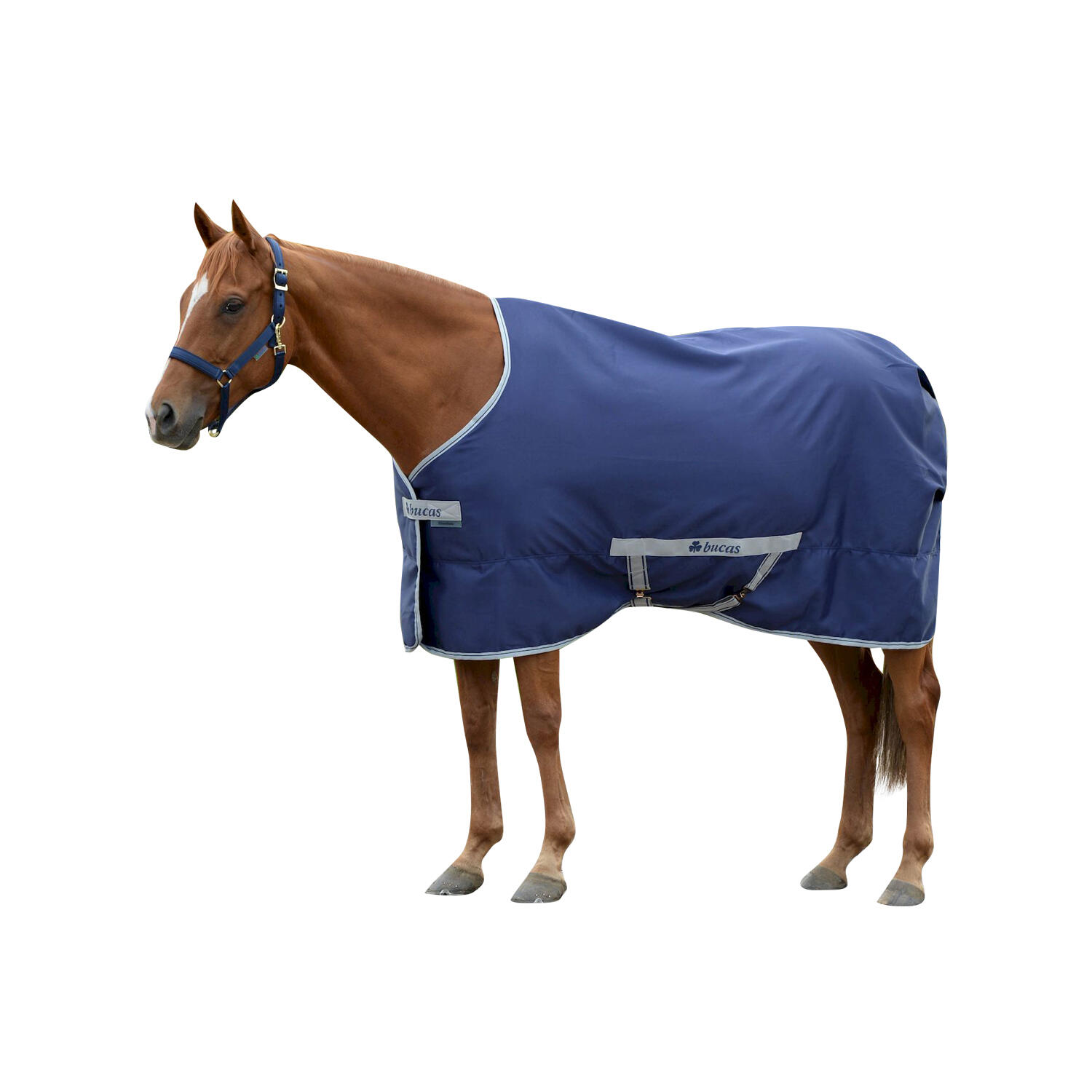 Derka stajenna dla koni Bucas Freedom