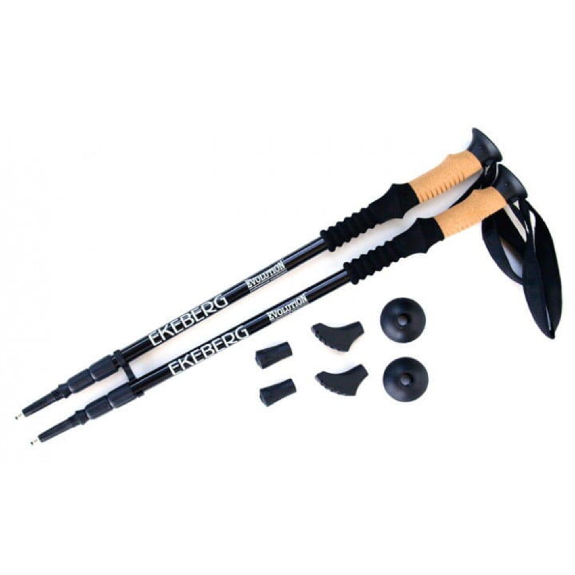 Kije trekkingowe Evolution Professional Equipment Ekeberg 3-sekcyjne