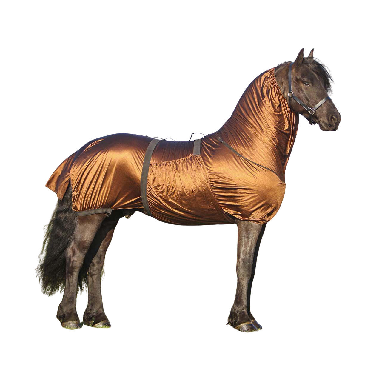 Pokrowiec przeciw egzema dla konia z dużym karkiem QHP