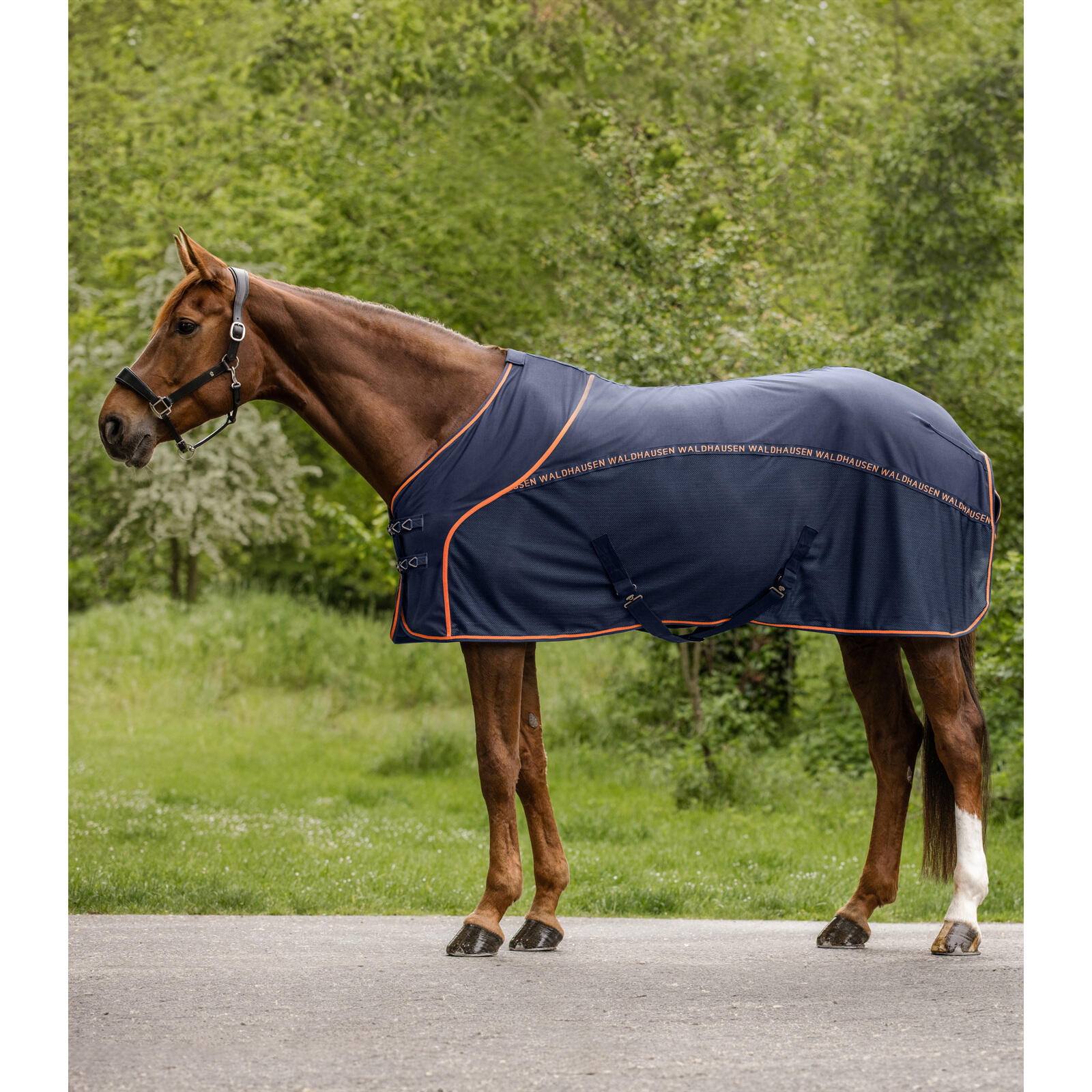 Letnia derka przeciw muchom dla koni Waldhausen Cooler