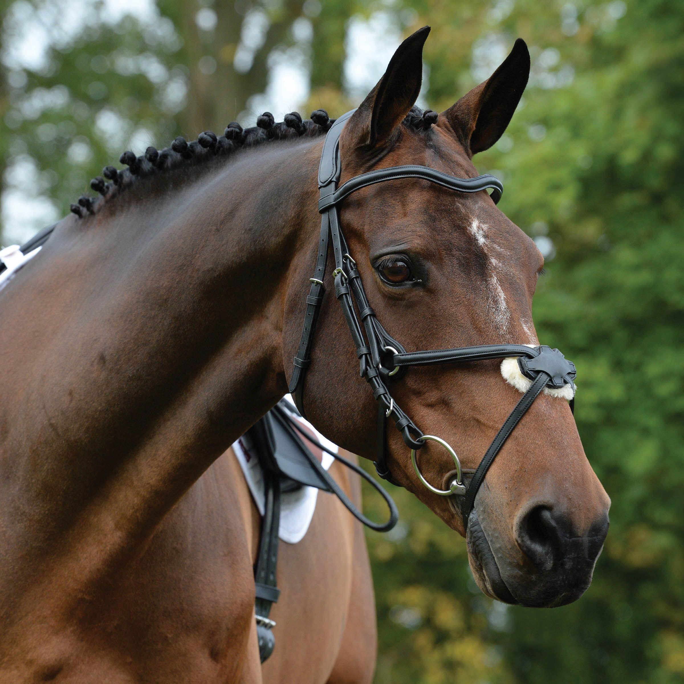 Uzda jeździecka Weatherbeeta Collegiate Comfitec