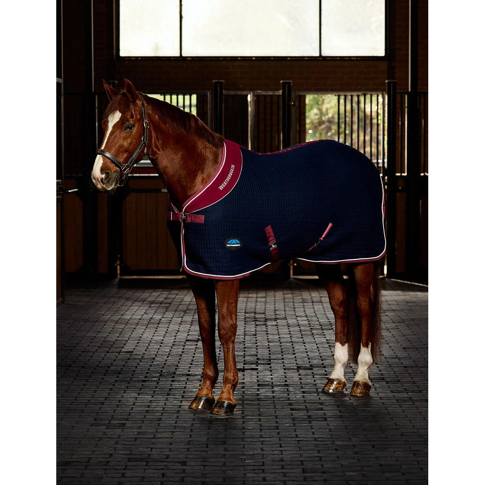 Derka osuszające dla koni Weatherbeeta Thermocell