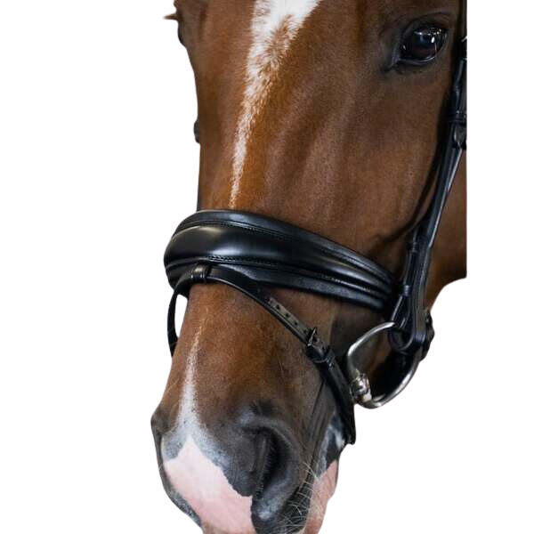 Uzda do jazdy konnej PS of Sweden GP