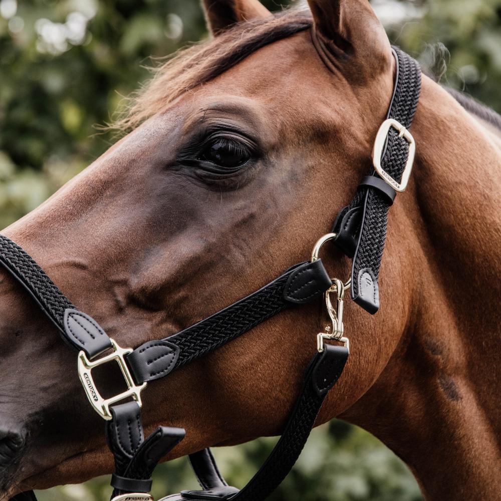 Pleciony Kantar nylon Kentucky