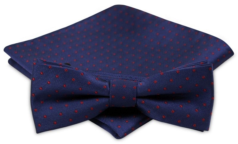 Modna Mucha Męska - Alties - Granat w Drobny Groszek