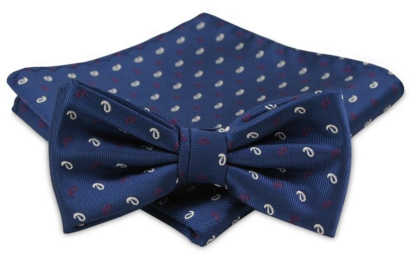 Modna Mucha Męska - Alties - Niebieska, Wzór