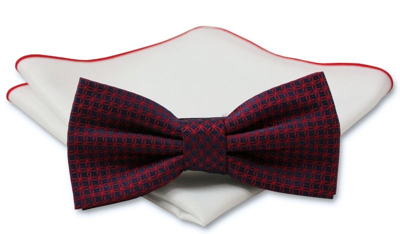 Stylowa mucha z poszetką - Chattier, Męska - Wzór w Rozetę