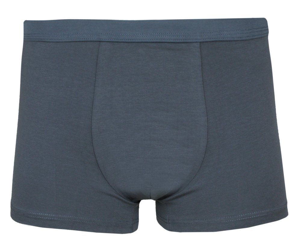 Bokserki Obcisłe, Szare Gładkie, Jednokolorowe, Bawełniane, Majtki z Elastanem -ALTIES