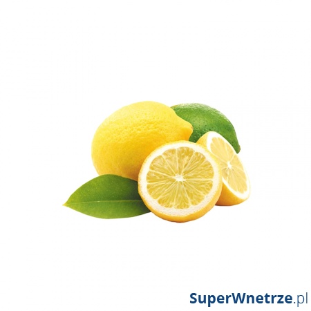 Mata na stół 45 x 29 cm Nuova R2S Easy Life cytryny