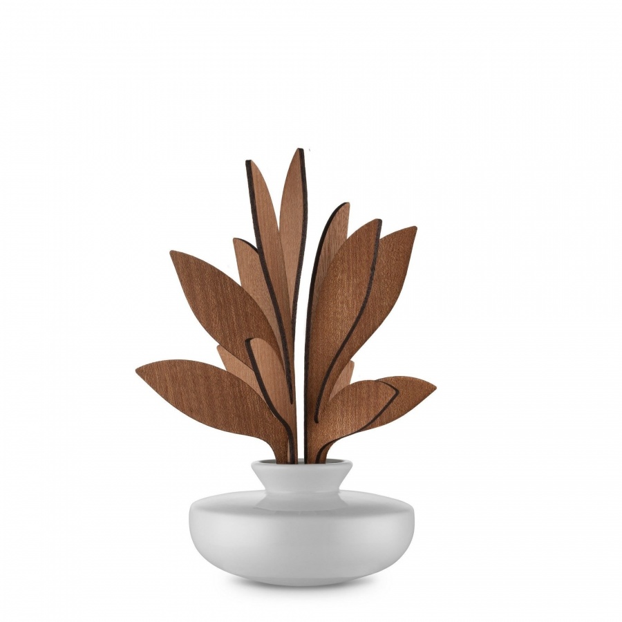 dyfuzor z patyczkami zapachowymi, Ahhh