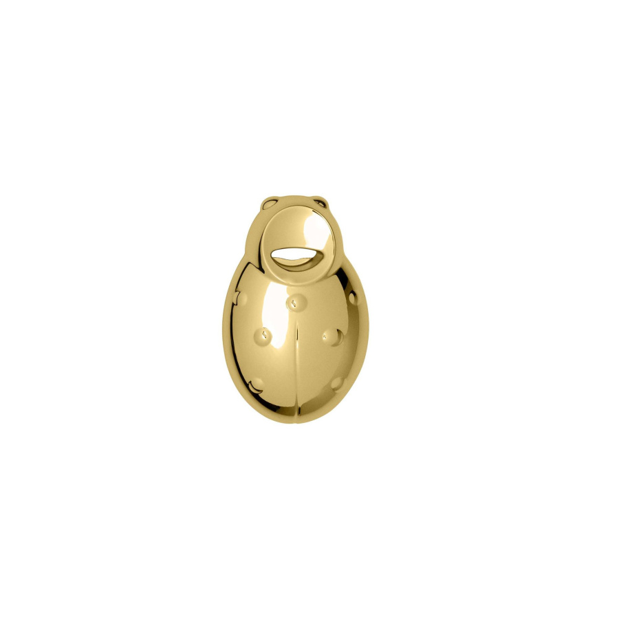 Coccinella - otwieracz złoty