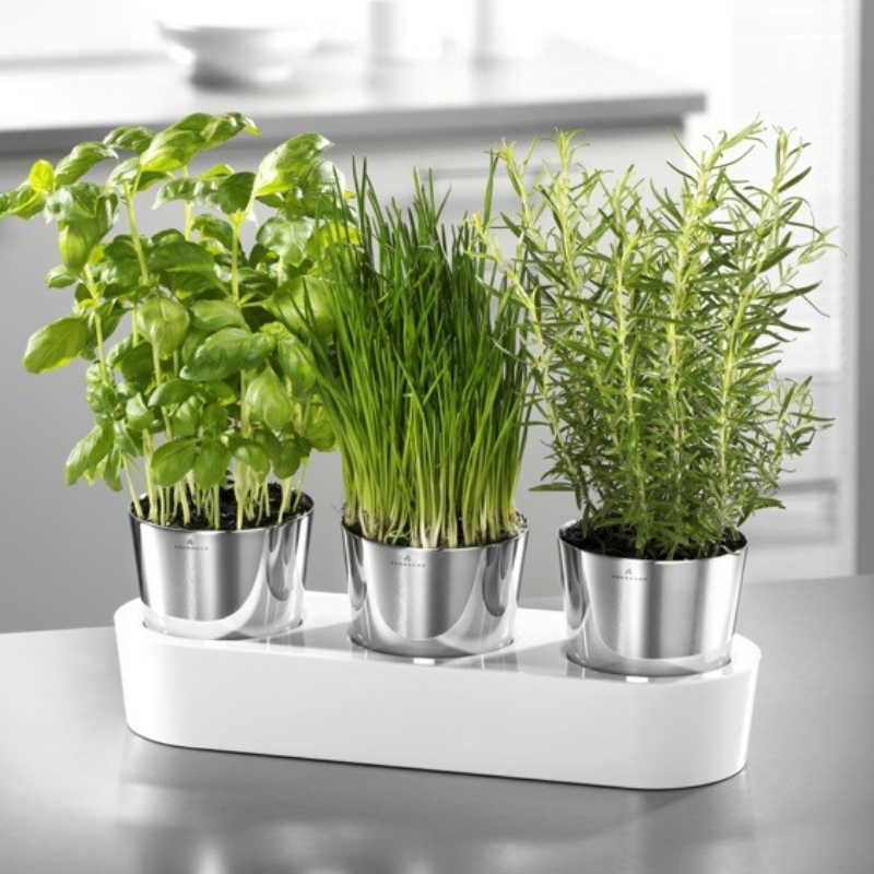 Zestaw 3 doniczek na zioła WMF Gourmet