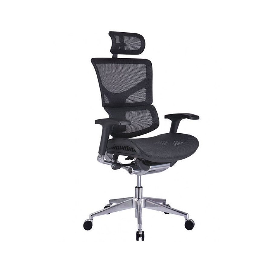 Ergonimiczny Fotel ERGOFLY SAIL Alum T-01 Black