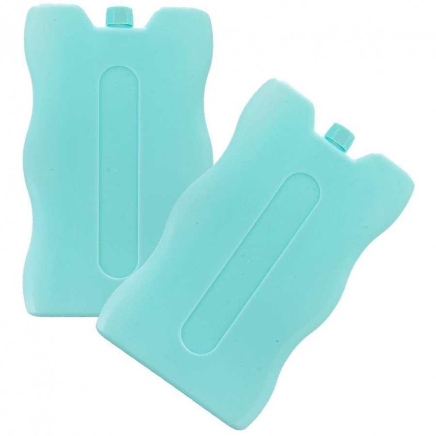 Wkład chłodzący do lodówki turystycznej, torby termicznej termoizolacyjnej, 200g, 2 sztuki