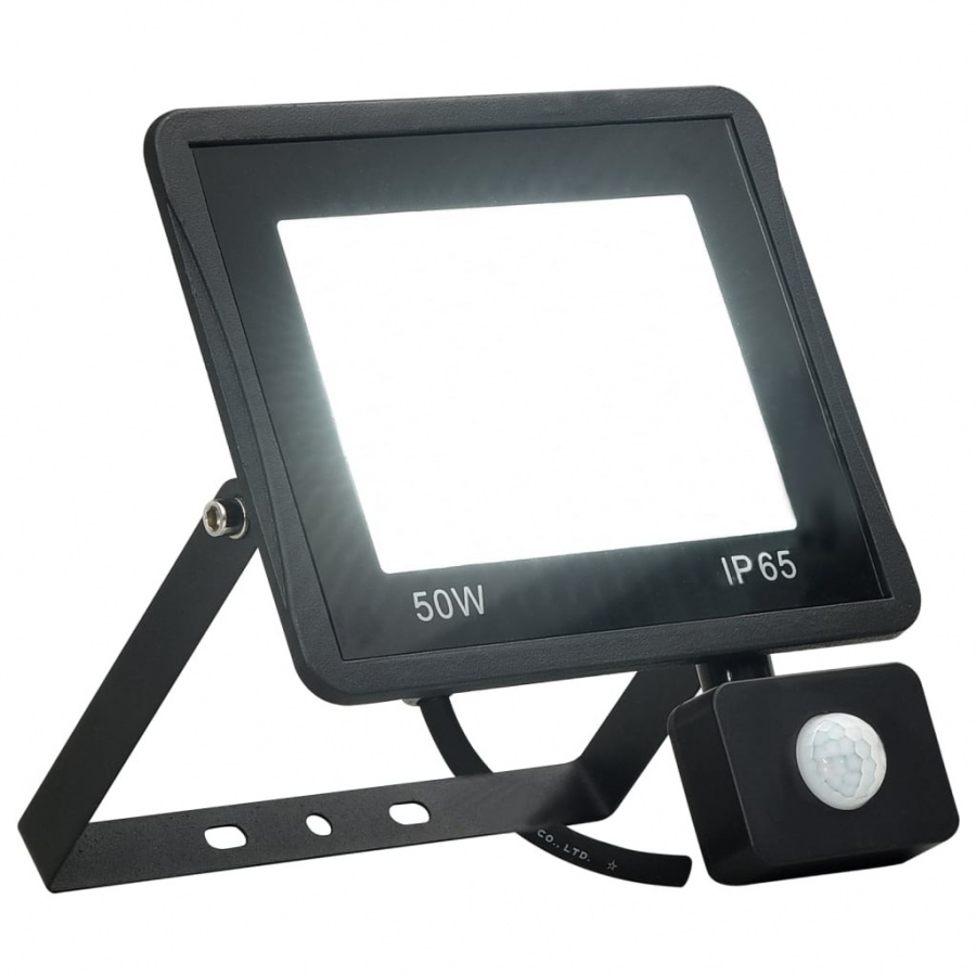 Reflektor led z czujnikiem, 50 w, zimne białe światło