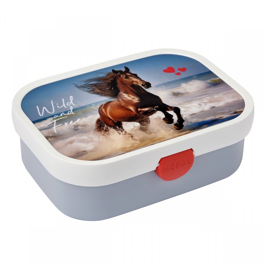 Lunchbox campus wild horse 107440065401
